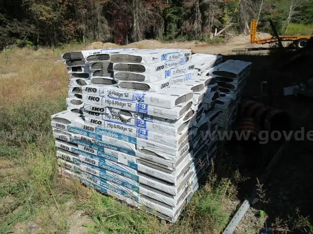 Lot of Shingles