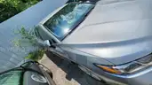 2023 TOYOTA CAMRY LE/DS17903/95886/FLEET/B5377/OFFSITE/FLOODED/SALVAGE TITLE