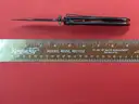 Puma SGB Pounce3507 Spring Assist Folding Knife/PRE-OWNED/DS17956/96162/TSA