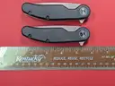 2 Crescent 5CR15MOV Knives/PRE-OWNED/DS18022/96557/TSA
