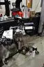 Machinery Lot/OFFSITE/DS#17958/Pallet#000032/KDE