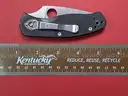 Spyderco Persistence G10 8Cr13MoV Blade Alloy Knife/PRE-OWNED/DS18111/97033/TSA