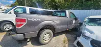 2010 FORD F-150 2-DR 4X4 LWB/DS18116/97059/FLEET/B2113/SALVAGE TITLE/OFFSITE