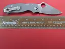 Spyderco Para 3 CPM Maxamet G10 Knife/PRE-OWNED/DS18201/97437/TSA