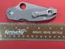 Spyderco Para 3 CPM Maxamet G10 Knife/PRE-OWNED/DS18201/97437/TSA