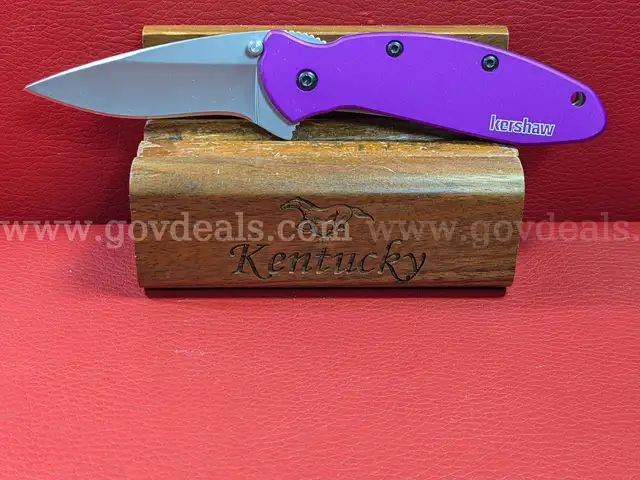 Kershaw Scallion 1620PUR Knife/PRE-OWNED/DS18231/97636/TSA