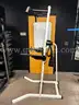 Body Power Pull-Up/ Dip Station