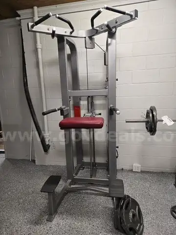 Hammer Strengthe Assist Dip/Chin Machine