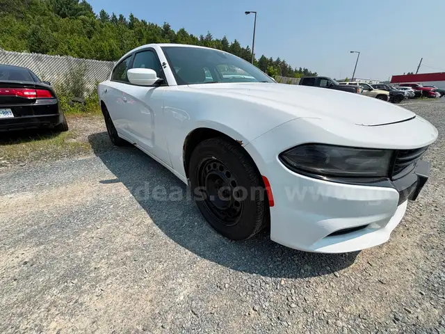 2016 Dodge Charger Hemi With Tick