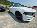 2016 Dodge Charger Hemi With Tick