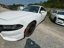 2016 Dodge Charger Hemi With Tick
