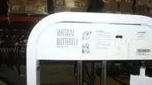 Vertical Butterfly