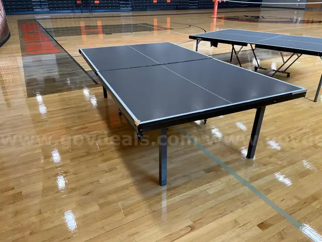 Tiga Ping Pong Table