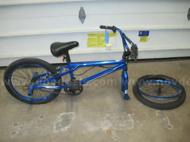 Genesis kids bike