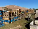 1 Lot of 230+ Wooden Pallets