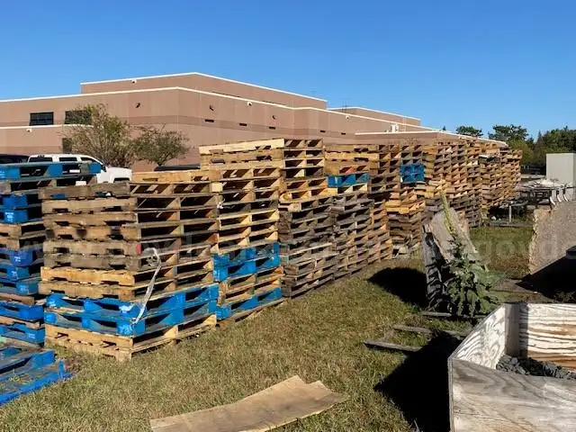 1 Lot of 250+ Wooden Pallets
