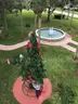 Christmas Tree For Sale (Large Tree)