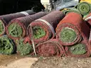 AstroTurf, Baseball - Used