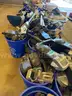 Large Amount of Electronic Parking Meters