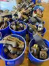 Large Amount of Electronic Parking Meters
