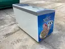 (1) Ice Cream Freezer