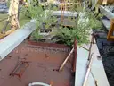 Lot of (2) Plasser America 40 feet long rail flat carts. DTPW 24-06 #8