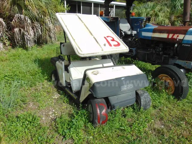 31-1610/ EZ-GO Golf Cart. Electric. Pros 25-18 #13