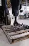 Mercury outboard 300HP. For parts or repair.