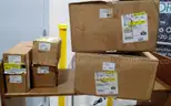 Lot of automotive parts. New unused.