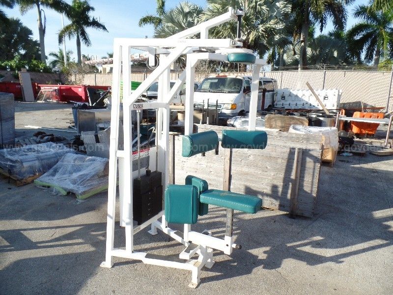 Cybex rotary torso hot sale