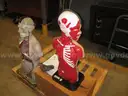Skelton and 2 Anatomy Mannequins