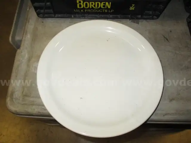 Plates 10 1/2 Qty 41