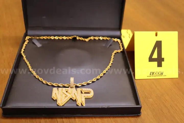 NSNP Charm and Gold in color Chain