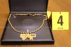 NSNP Charm and Gold in color Chain
