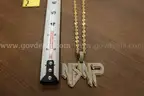 NSNP Charm and Gold in color Chain