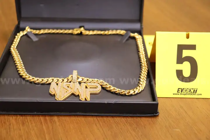 NSNP Charm and Gold  in color Chain