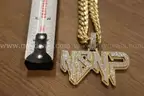 NSNP Charm and Gold  in color Chain