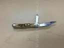lot of 5 CASE knives