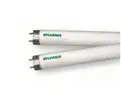 Fluorescent Bulbs (6 boxes)
