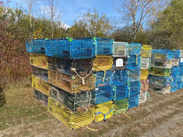 Lot #4 50 Lobster Traps