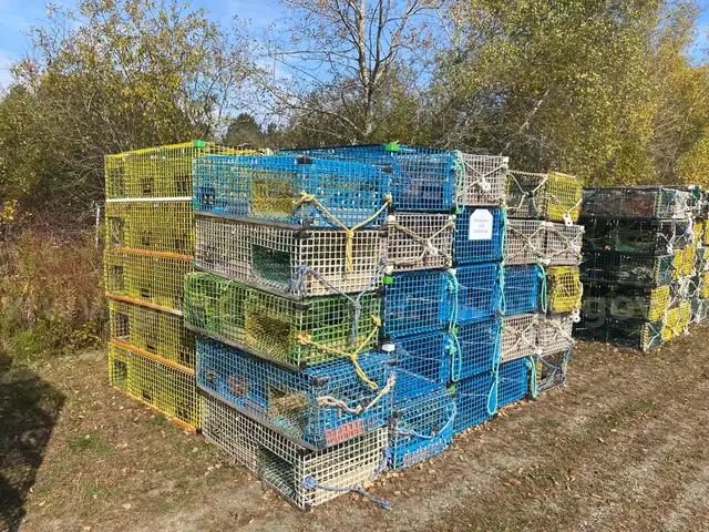 Lot #5 50 Lobster Traps