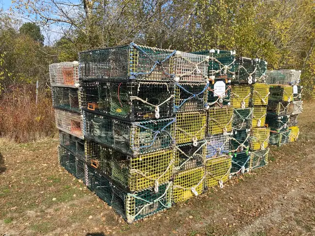 Lot #6 50 Lobster Traps