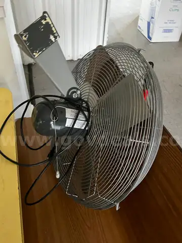 Fan