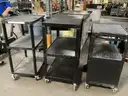 3 - A.V. Carts