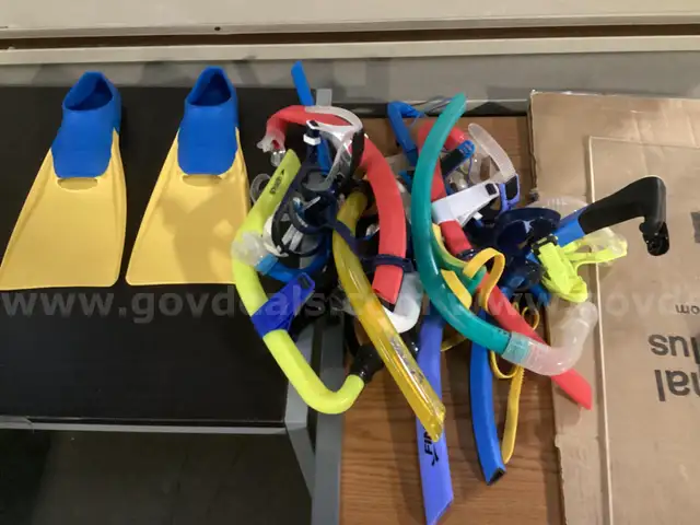 Collection of Snorkeling Gear