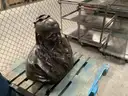 Statue