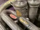 French Horn