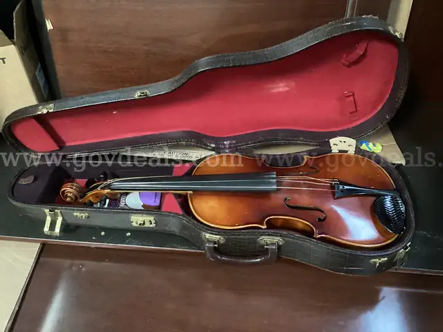 Violin