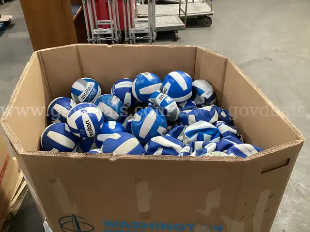 Gaylord of Volley Balls