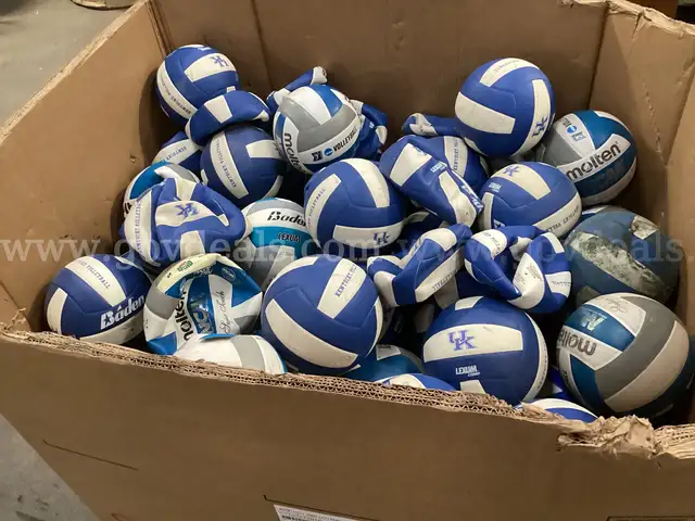 Gaylord of Volley Balls